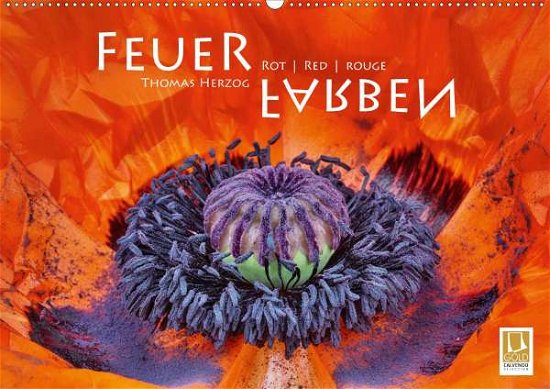 Cover for Herzog · FEUERFARBEN Rot ~ Red ~ Rouge (W (Book)