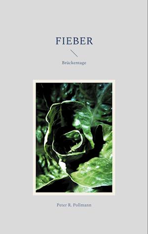 Cover for Peter R. Pollmann · Fieber (Book) (2024)