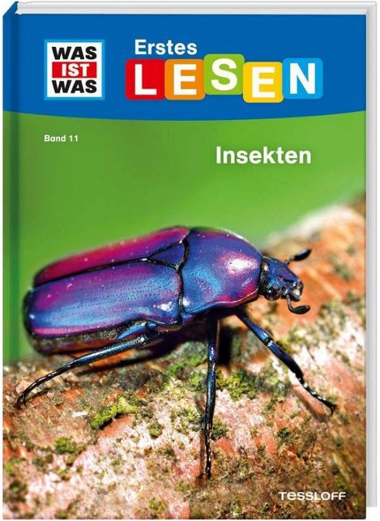 Cover for Braun · Was ist was Erstes Lesen: Insekte (Bog)