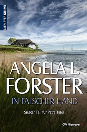 In falscher Hand - Angela L. Forster - Books - CW Niemeyer - 9783827193674 - November 8, 2022