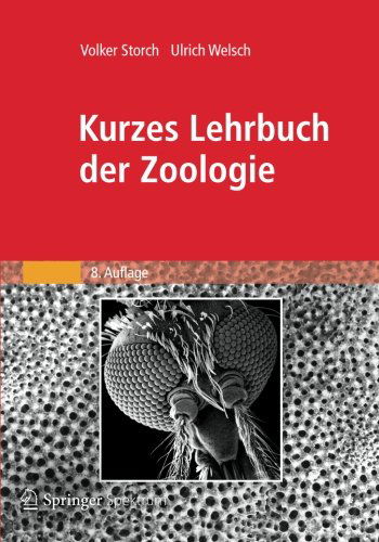 Kurzes Lehrbuch Der Zoologie - Storch, Volker (Universit?t Heide Universit??t Heide Universit??t Heide Universit??t Heide Universit??t Heide Universit??t Heide Universit??t Heide Universit??t Heide Universit??t Heide Universit??t Heide Universit??t Heide Universit??t Heide Universit??t - Książki - Spektrum Akademischer Verlag - 9783827429674 - 20 kwietnia 2012