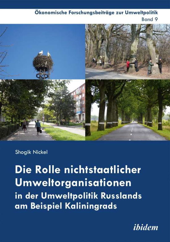 Cover for Nickel · Die Rolle nichtstaatlicher Umwel (Book)