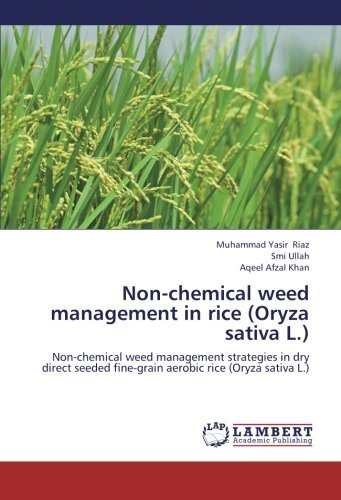 Cover for Aqeel Afzal Khan · Non-chemical Weed Management in Rice (Oryza Sativa L.): Non-chemical Weed Management Strategies in Dry Direct Seeded Fine-grain Aerobic Rice (Oryza Sativa L.) (Paperback Book) (2012)