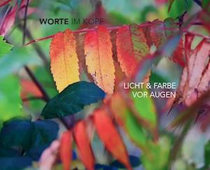 Cover for Lea Andersson · Worte im Kopf – Licht &amp; Farbe vor Augen (Book) (2023)