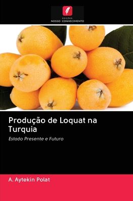Cover for A Aytekin Polat · Producao de Loquat na Turquia (Paperback Book) (2020)