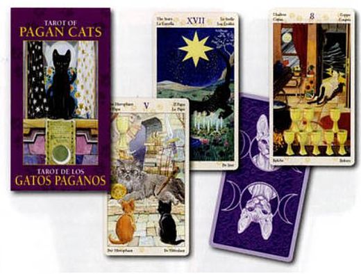 Cover for Magdelina Messina · Mini Tarot - Pagan Cats (Bound Book) (2012)