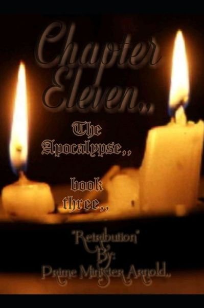 Cover for Sr Chanelle Maris Arnold · Chapter Eleven The Apocalypse, book 3 (Paperback Book) (2020)