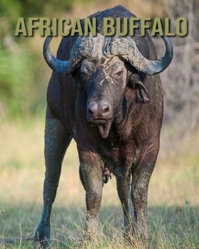 Cover for Kayla Miller · African buffalo (Paperback Book) (2020)