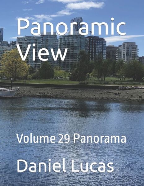 Cover for Daniel Lucas · Panoramic View: Volume 29 Panorama (Paperback Book) (2022)