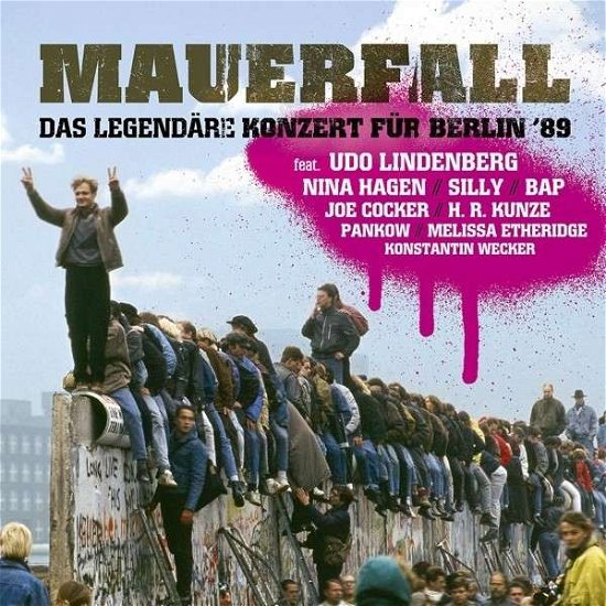 Mauerfall: Das Legendare Konzert / Various - Mauerfall: Das Legendare Konzert / Various - Musikk - PANORAMA - 0028947941675 - 4. november 2014