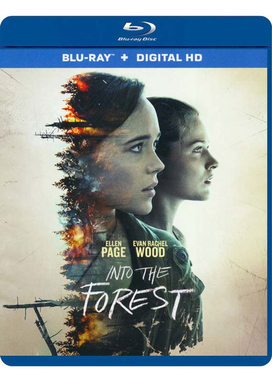 Cover for Into the Forest (Blu-ray) (2016)