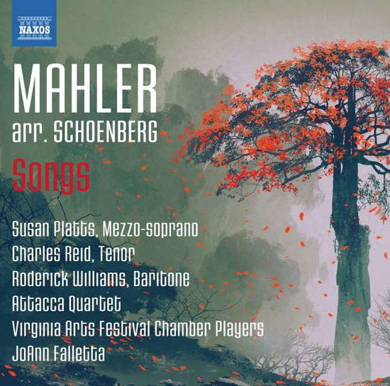 Plattswilliamsfalletta - Mahler - Musiikki - NAXOS - 0747313353675 - perjantai 14. lokakuuta 2016