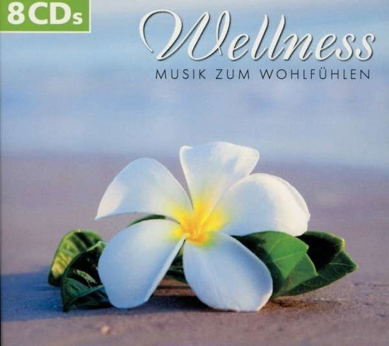 Wellness Musik Zum Wohlfuhlen - V/A - Muziek - Hoanzl - 4019393973675 - 9 januari 2015