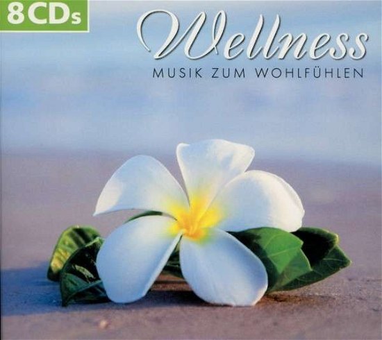 Cover for Wellness - Musik zum Wohlfühlen (CD) (2015)