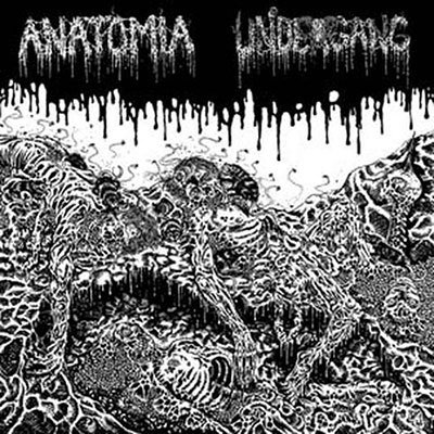 Cover for Undergang / Anatomia · Split Lp (LP) (2022)