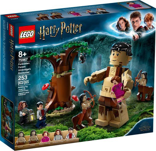 Cover for Lego · LGO HP Der Verbotene Wald: Begegnung mit (Spielzeug) (2021)