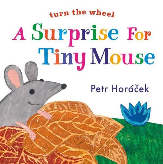 Cover for Petr Horacek · A Surprise for Tiny Mouse (Tavlebog) (2015)