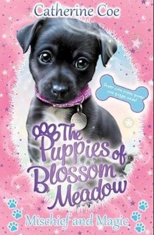Cover for Catherine Coe · Mischief and Magic (Puppies of Blossom Meadow #2) - Puppies of Blossom Meadow (Paperback Book) (2021)