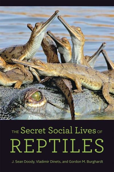 Cover for Doody, J. Sean (Graduate Director, University of South Florida) · The Secret Social Lives of Reptiles (Hardcover Book) (2021)