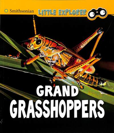 Cover for Megan Cooley Peterson · Grand Grasshoppers - Insect Explorer (Paperback Book) (2020)