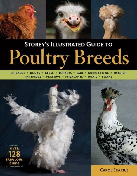Storey's Illustrated Guide to Poultry Breeds: Chickens, Ducks, Geese, Turkeys, Emus, Guinea Fowl, Ostriches, Partridges, Peafowl, Pheasants, Quails, Swans - Carol Ekarius - Books - Workman Publishing - 9781580176675 - May 30, 2007