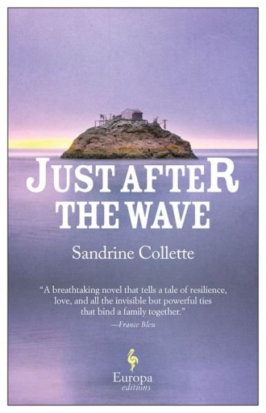 Cover for Sandrine Collette · Just after the Wave (Book) (2020)