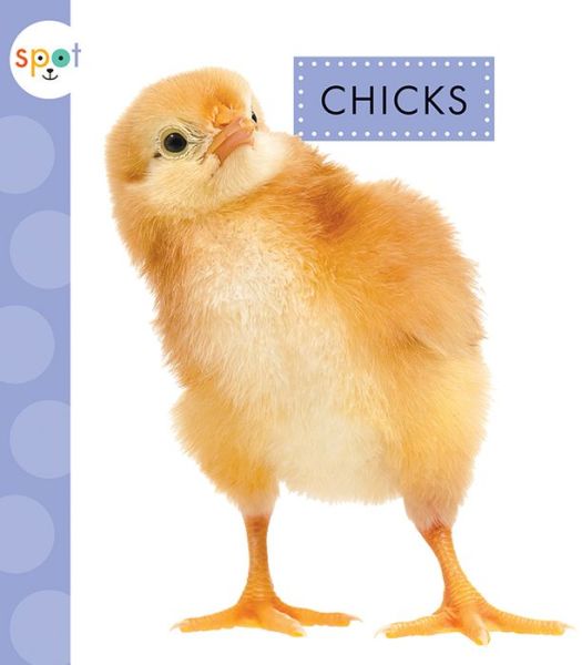 Cover for Anastasia Suen · Chicks (Book) (2019)