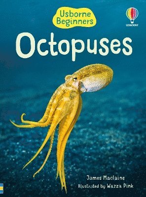 Beginners Octopuses - Beginners - James Maclaine - Bøker - Usborne Publishing Ltd - 9781805079675 - 1. august 2024