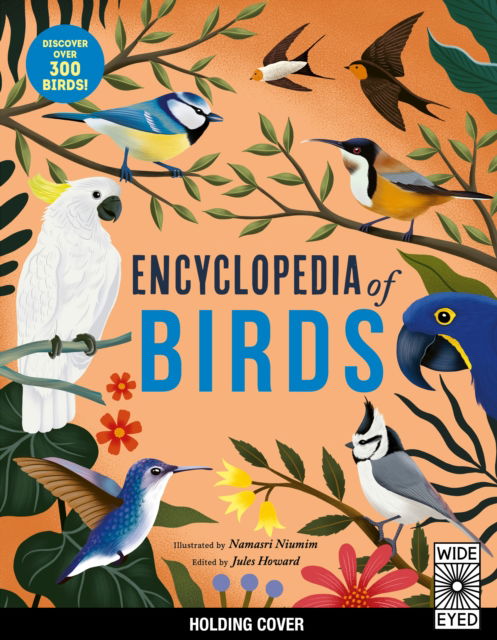 Cover for Jules Howard · Encyclopedia of Birds (Paperback Book) (2026)