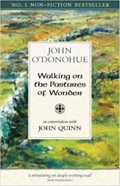 Cover for John Quinn · Walking on the Pastures of Wonder: In Conversation with  John Quinn (Hardcover Book) (2015)