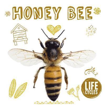 Honey Bee - Life Cycles - Grace Jones - Książki - The Secret Book Company - 9781912171675 - 31 stycznia 2019