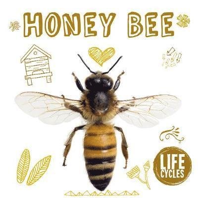 Honey Bee - Life Cycles - Grace Jones - Bøger - The Secret Book Company - 9781912171675 - 31. januar 2019