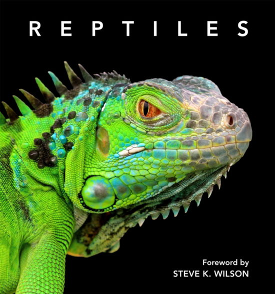 Cover for Steve Wilson · Reptiles: Deluxe Series (Hardcover Book) (2023)