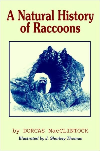 Cover for Dorcas Macclintock · A Natural History of Raccoons (Paperback Book) (2003)