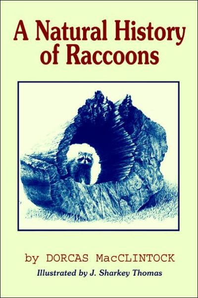 A Natural History of Raccoons - Dorcas Macclintock - Books - The Blackburn Press - 9781930665675 - March 1, 2003