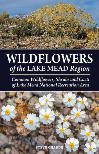 Cover for Steve W Chadde · Wildflowers of the Lake Mead Region (Paperback Book) (2022)