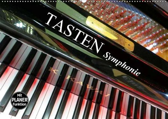 Cover for Bleicher · TASTEN Symphonie (Wandkalender (Book)