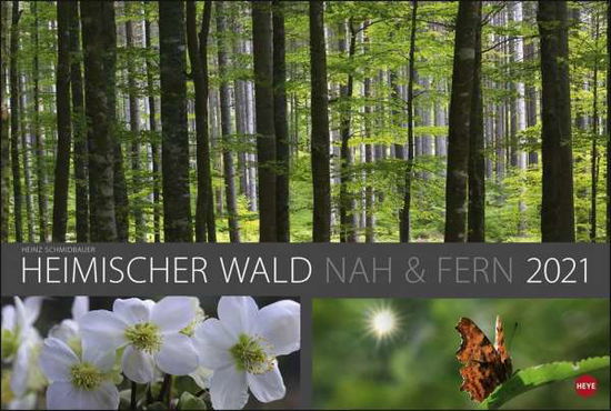 Cover for Schmidbauer · Wald nah und fern 2021 (Bok)