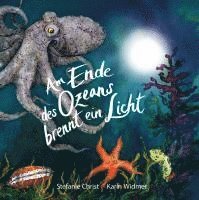 Cover for Stefanie Christ · Am Ende des Ozeans brennt ein Licht (Book) (2023)