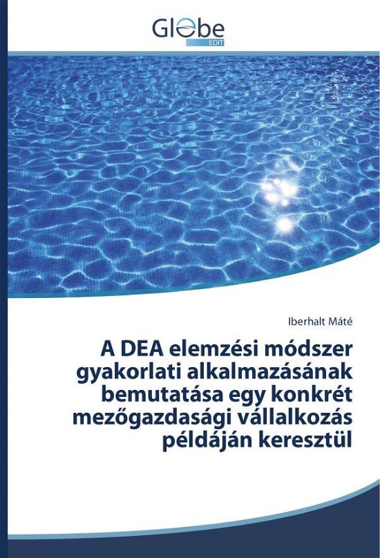 Cover for Máté · A DEA elemzési módszer gyakorlati (Buch) (2018)