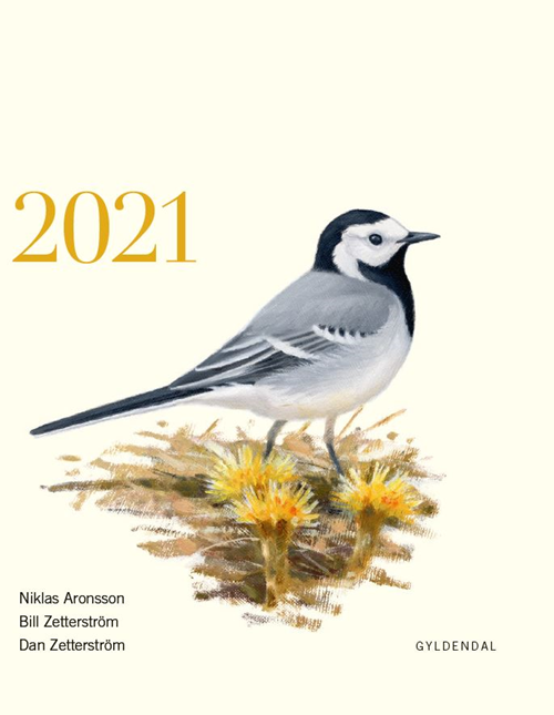 Cover for Dan Zetterström; Bill Zetterström; Niklas Aronsson · Fuglekalender 2021 (Bound Book) [1st edition] (2020)