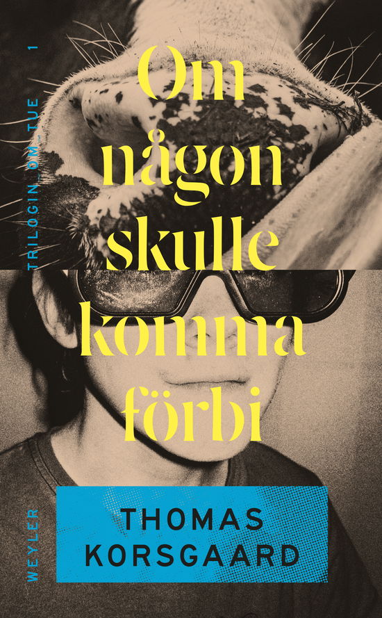 Om någon skulle komma förbi - Thomas Korsgaard - Bücher - Weyler Förlag - 9789127186675 - 19. Januar 2024