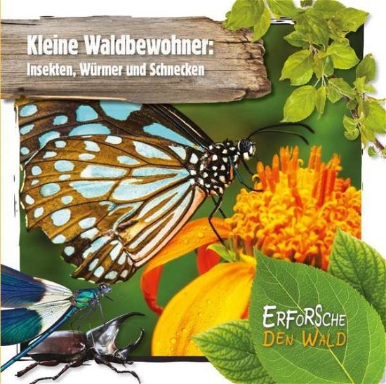 Cover for Twiddy · Kleine Waldbewohner: Insekten, W (Bok)