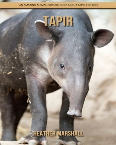 Cover for Heather Marshall · Tapir: An Amazing Animal Picture Book about Tapir for Kids (Pocketbok) (2021)