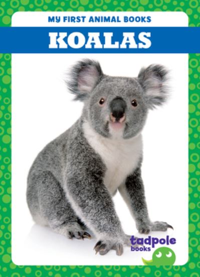 Koalas - My First Animal Books - Natalie Deniston - Books - Jump! Incorporated - 9798885246675 - October 11, 2024