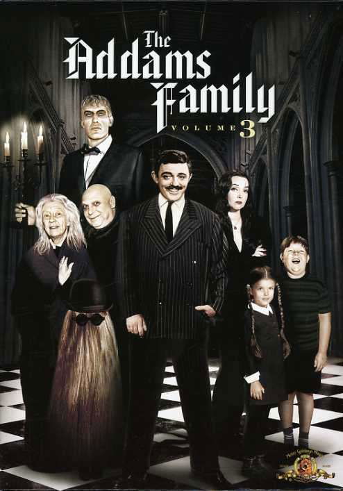 Cover for Addams Family 3 (DVD) (2007)
