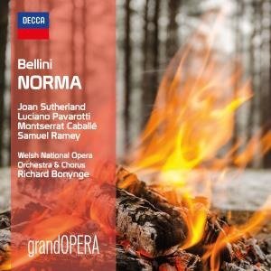 Norma - Luciano Pavarotti - Musik - DECCA - 0028948286676 - 6. oktober 2017