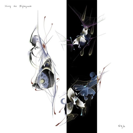 Cover for Harry The Nightgown · Ugh (LP) (2025)
