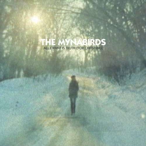 Cover for Mynabirds · All I Want Is Truth (LP) (2010)