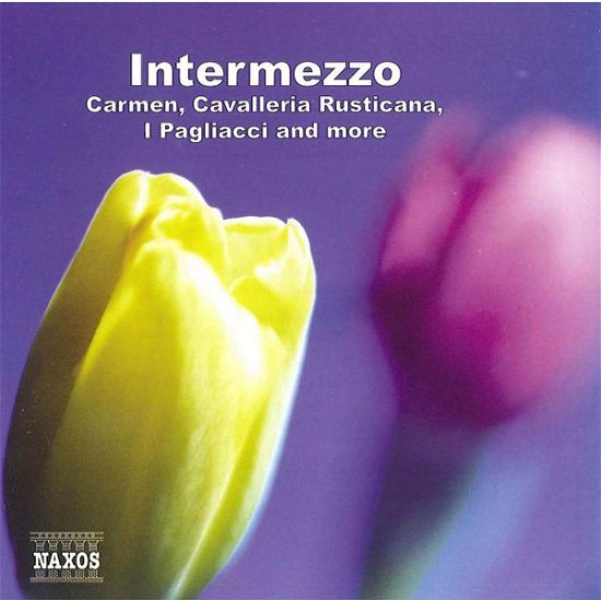 Intermezzo *d* - Various Artists - Music - Naxos - 0747313004676 - January 21, 2021